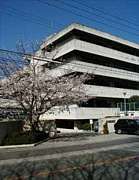 ��Τ�����(16ǯ��´)Ʊ���β�