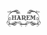 ���󥫥쥵������HAREM