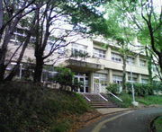 ʡ���������㶵��������(*��-`)��