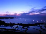 �����̹⹻��classG type2003´