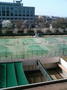 TUFS��TENNIS��TEAM