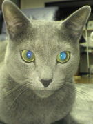 �����λҡ�ǭ��