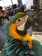 ���󥳤�դ�դβ�