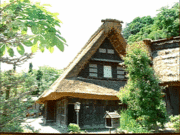 ����̱�ȱ�