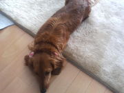 ��ʸ���������ʸ���ɤߤˤ�����