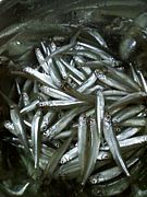 わかさぎ愛好会