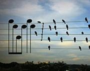 ��岻��2012(^��^)b