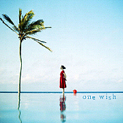 one wish