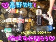 ♥����׎� 2003♥