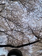 KGK���ɣ���