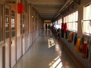 ���ûҡ���������´