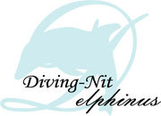 Diving-Nit Delphinus