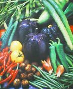 �ʤ�Ȳ���ŵ�¡ʤƤ󤾡�