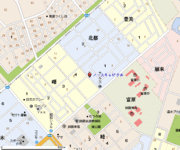 ��鲼�ɡ��Ρ�������ԥ���