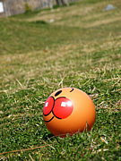 ��+�����ӥ���2009