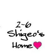 - Shigeo*s ȣ♥