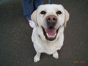 ��å�����Ϥ��