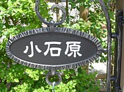 ���и����󽸹硪