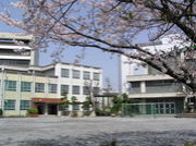 ̾�Ų���Ωϻ�����ع�