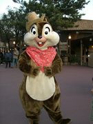 ���������ݎ����Îޡݎ׎̎�