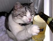 �ͽ���μ�ĥ(��ǯ�ο��ζ���)