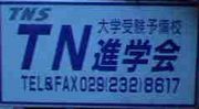TN�ʳز�