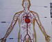 ���������ʥȥߡ��ϼ���