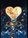 *I love kingdomhearts*