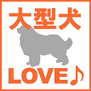 大型犬LOVE♪