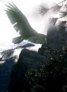 ����ɥ�μ�����ߤ���