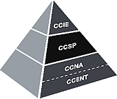 CCSP