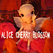 �� ALICE CHERRY BLOSSOM ��
