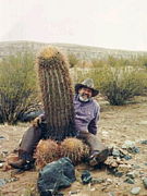 �ģ�������s