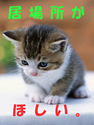 ꤬ۤ
