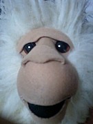 ★ケイティこみゅ★