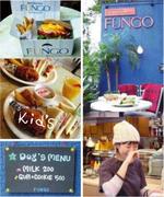 ファンゴー / FUNGO DINING