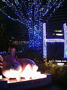 ♡KinKi♡
