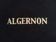 Algernon(ｱﾙｼﾞｬｰﾉﾝ)