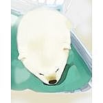 ������ع�2006ǯ´�����Υ��ߥ�