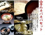 �ۤ졪��ϻ������