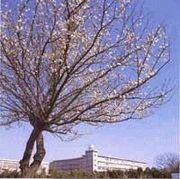 市ヶ尾高校　20期生