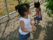 赤ちゃんができた　ぎょえ〜