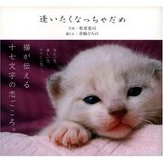 ���������ʤä������