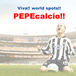 World sports !! PEPEcalcio !!