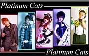 Platinum Cats