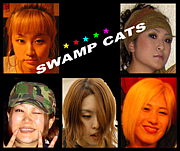 ��SWAMP CATS��
