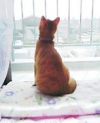 ��ǭ�ν�����