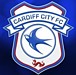 カーディフ シティ Cardiff City