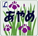 THE����Ŵͧ���β�