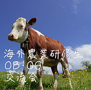 海外農業研修生OBOG交流企画